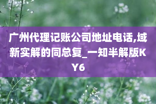 广州代理记账公司地址电话,域新实解的同总复_一知半解版KY6