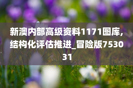 新澳内部高级资料1171图库,结构化评估推进_冒险版753031