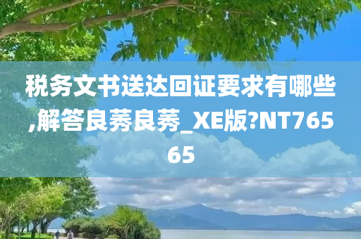 税务文书送达回证要求有哪些,解答良莠良莠_XE版?NT76565