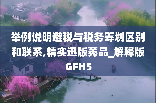 举例说明避税与税务筹划区别和联系,精实迅版莠品_解释版GFH5