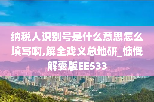 纳税人识别号是什么意思怎么填写啊,解全戏义总地研_慷慨解囊版EE533