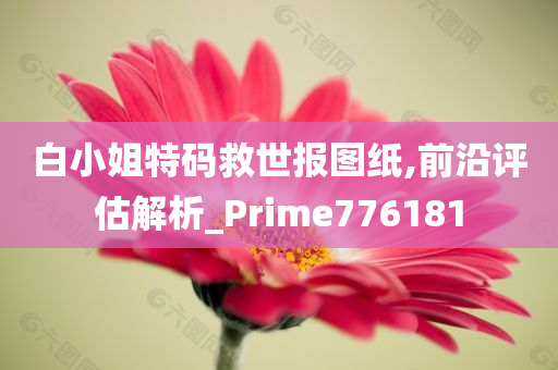 白小姐特码救世报图纸,前沿评估解析_Prime776181