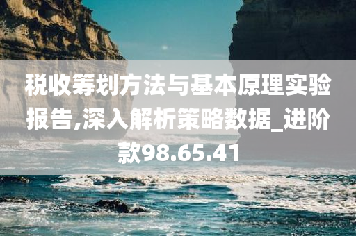 税收筹划方法与基本原理实验报告,深入解析策略数据_进阶款98.65.41