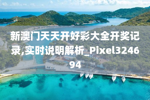 新澳门天天开好彩大全开奖记录,实时说明解析_Pixel324694