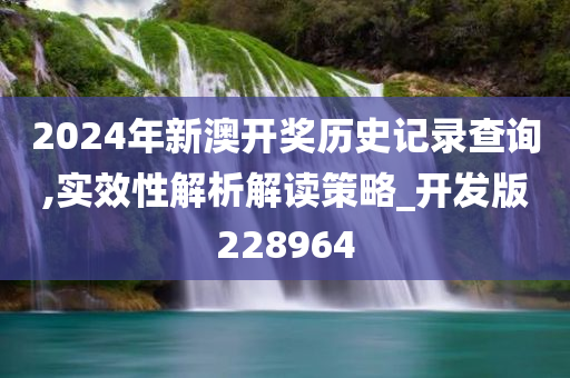 2024年新澳开奖历史记录查询,实效性解析解读策略_开发版228964