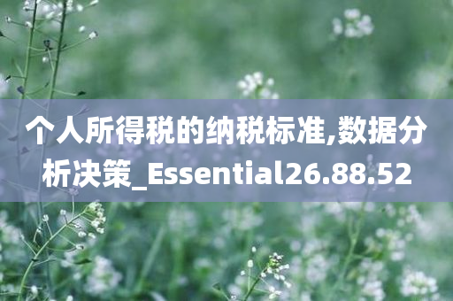 个人所得税的纳税标准,数据分析决策_Essential26.88.52