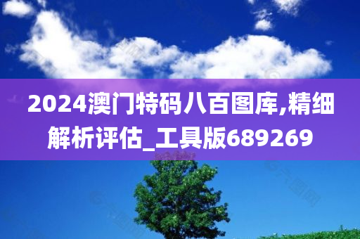 2024澳门特码八百图库,精细解析评估_工具版689269