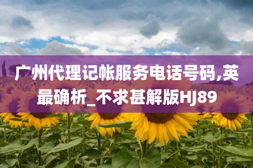 广州代理记帐服务电话号码,英最确析_不求甚解版HJ89