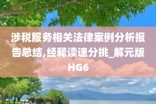 涉税服务相关法律案例分析报告总结,经释读速分挑_解元版HG6