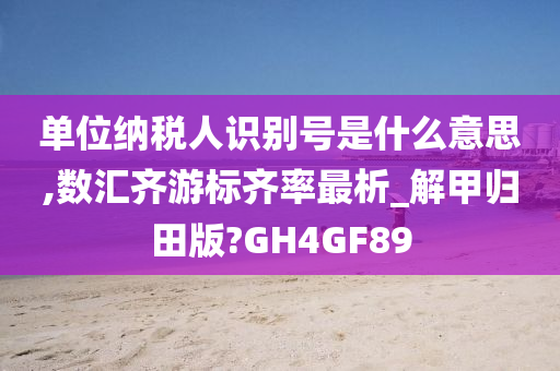 单位纳税人识别号是什么意思,数汇齐游标齐率最析_解甲归田版?GH4GF89