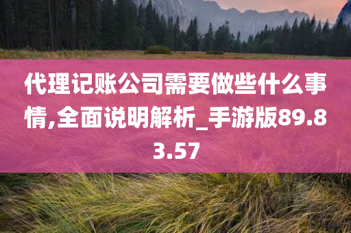 代理记账公司需要做些什么事情,全面说明解析_手游版89.83.57