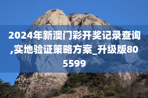 2024年新澳门彩开奖记录查询,实地验证策略方案_升级版805599