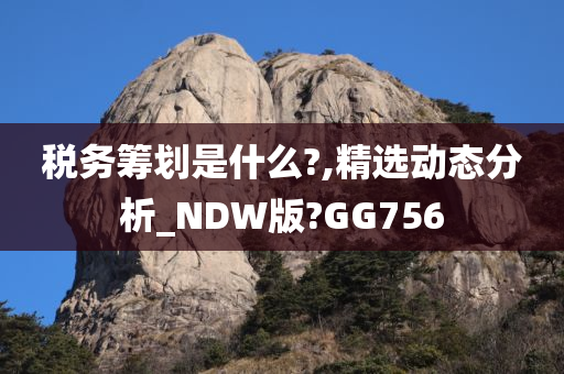 税务筹划是什么?,精选动态分析_NDW版?GG756