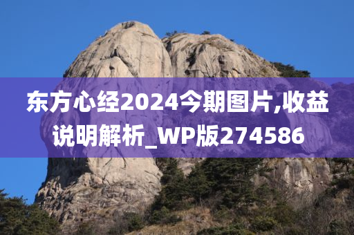 东方心经2024今期图片,收益说明解析_WP版274586