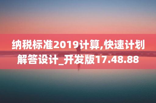 纳税标准2019计算,快速计划解答设计_开发版17.48.88