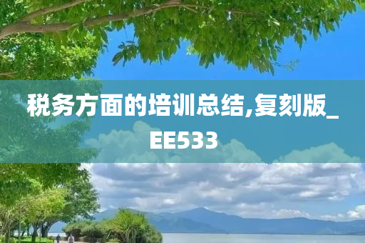 税务方面的培训总结,复刻版_EE533