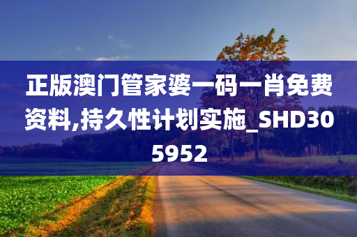 正版澳门管家婆一码一肖免费资料,持久性计划实施_SHD305952