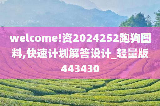 welcome!资2024252跑狗图料,快速计划解答设计_轻量版443430