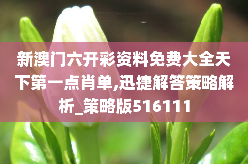 新澳门六开彩资料免费大全天下第一点肖单,迅捷解答策略解析_策略版516111