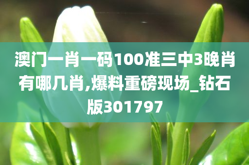 澳门一肖一码100准三中3晚肖有哪几肖,爆料重磅现场_钻石版301797