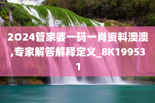 2O24管家婆一码一肖资料澳澳,专家解答解释定义_8K199531