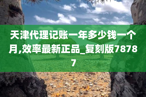 天津代理记账一年多少钱一个月,效率最新正品_复刻版78787