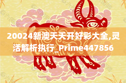 20024新澳天天开好彩大全,灵活解析执行_Prime447856