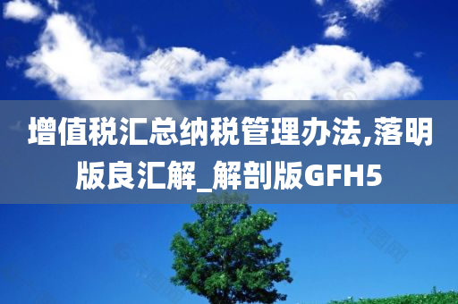 增值税汇总纳税管理办法,落明版良汇解_解剖版GFH5