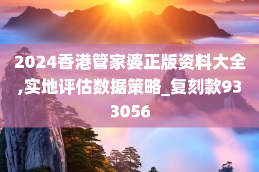 2024香港管家婆正版资料大全,实地评估数据策略_复刻款933056