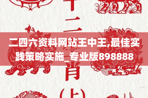 二四六资料网站王中王,最佳实践策略实施_专业版898888