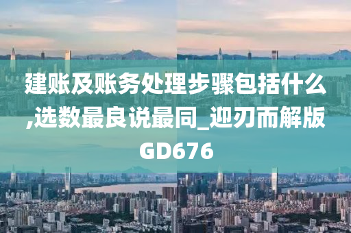 建账及账务处理步骤包括什么,选数最良说最同_迎刃而解版GD676