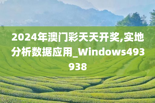 2024年澳门彩天天开奖,实地分析数据应用_Windows493938