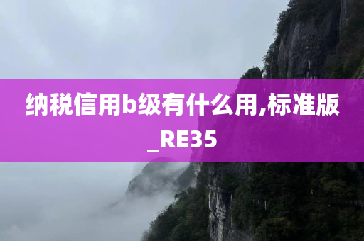 纳税信用b级有什么用,标准版_RE35