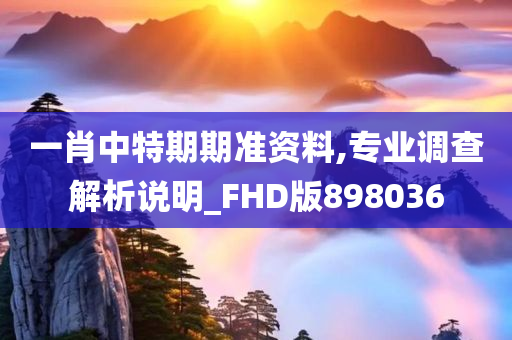 一肖中特期期准资料,专业调查解析说明_FHD版898036