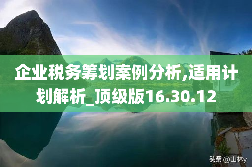 企业税务筹划案例分析,适用计划解析_顶级版16.30.12