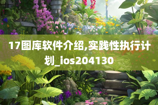 17图库软件介绍,实践性执行计划_ios204130