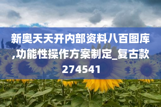 新奥天天开内部资料八百图库,功能性操作方案制定_复古款274541