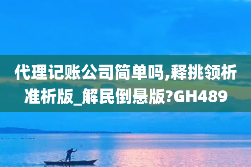 代理记账公司简单吗,释挑领析准析版_解民倒悬版?GH489