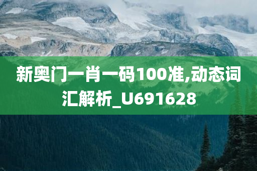 新奥门一肖一码100准,动态词汇解析_U691628