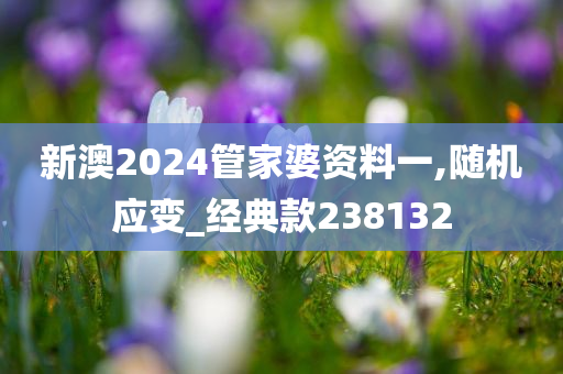 新澳2024管家婆资料一,随机应变_经典款238132