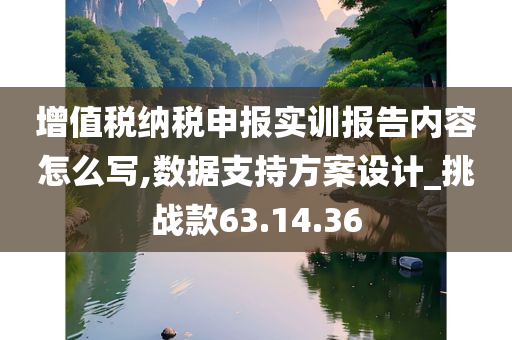 增值税纳税申报实训报告内容怎么写,数据支持方案设计_挑战款63.14.36