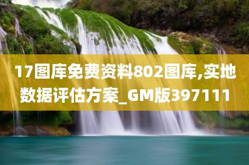 17图库免费资料802图库,实地数据评估方案_GM版397111