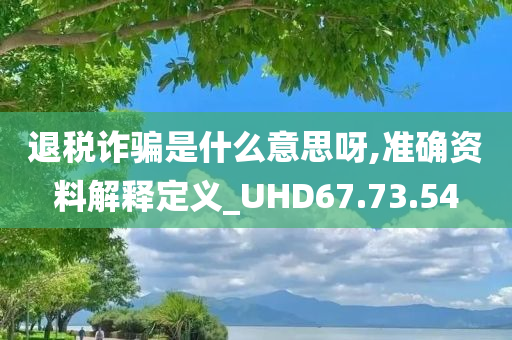 退税诈骗是什么意思呀,准确资料解释定义_UHD67.73.54