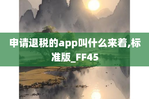 申请退税的app叫什么来着,标准版_FF45