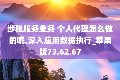 涉税服务业务 个人代理怎么做的呢,深入应用数据执行_苹果版73.62.67