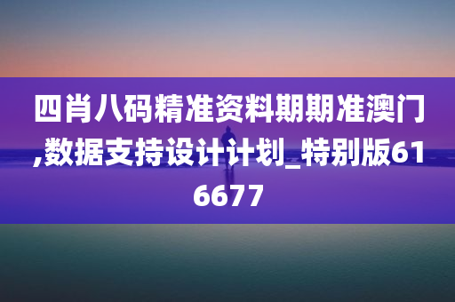 四肖八码精准资料期期准澳门,数据支持设计计划_特别版616677