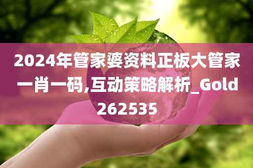 2024年管家婆资料正板大管家一肖一码,互动策略解析_Gold262535