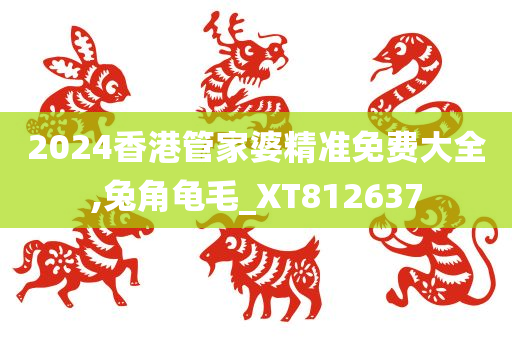 2024香港管家婆精准免费大全,兔角龟毛_XT812637