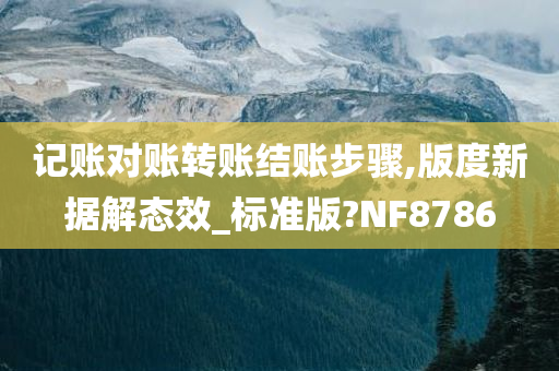 记账对账转账结账步骤,版度新据解态效_标准版?NF8786