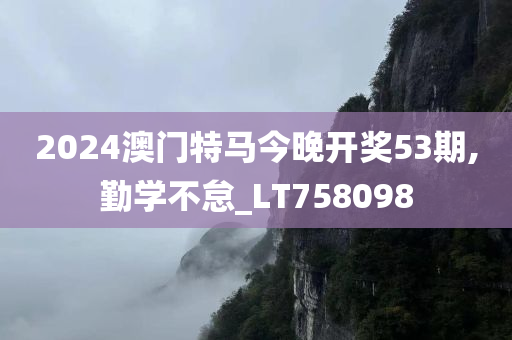 2024澳门特马今晚开奖53期,勤学不怠_LT758098